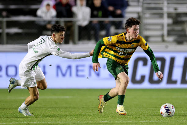 主引入视野 主引入视野